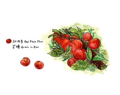 高雄好食曆春季